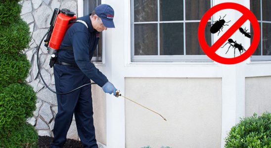 Şişli Bit İlaçlama böcek ilaçlama ve haşere kontrolü — ilaclama-tr.com